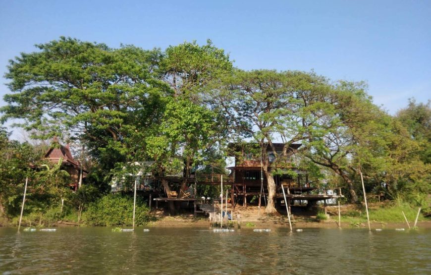 Ayutthaya Treehouse