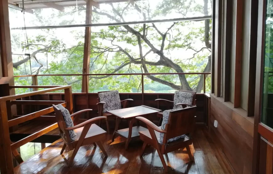 Ayutthaya Treehouse