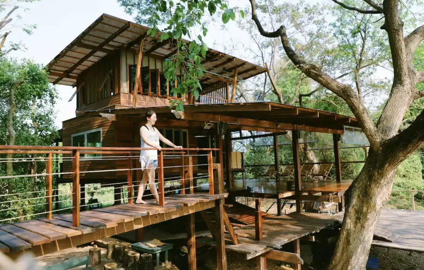 Ayutthaya Treehouse