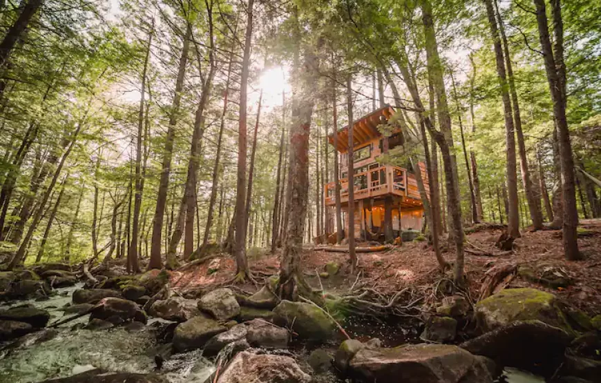 Stone City Treehouse