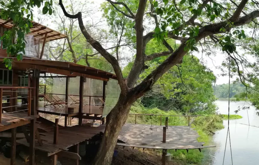 Ayutthaya Treehouse