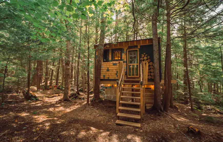 Stone City Treehouse